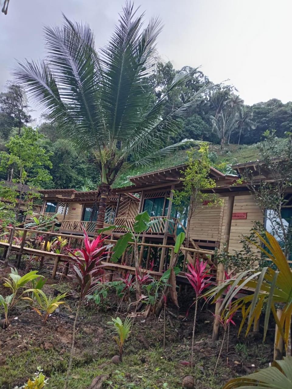 Pacific Nuqui Lodge Экстерьер фото